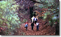 Path